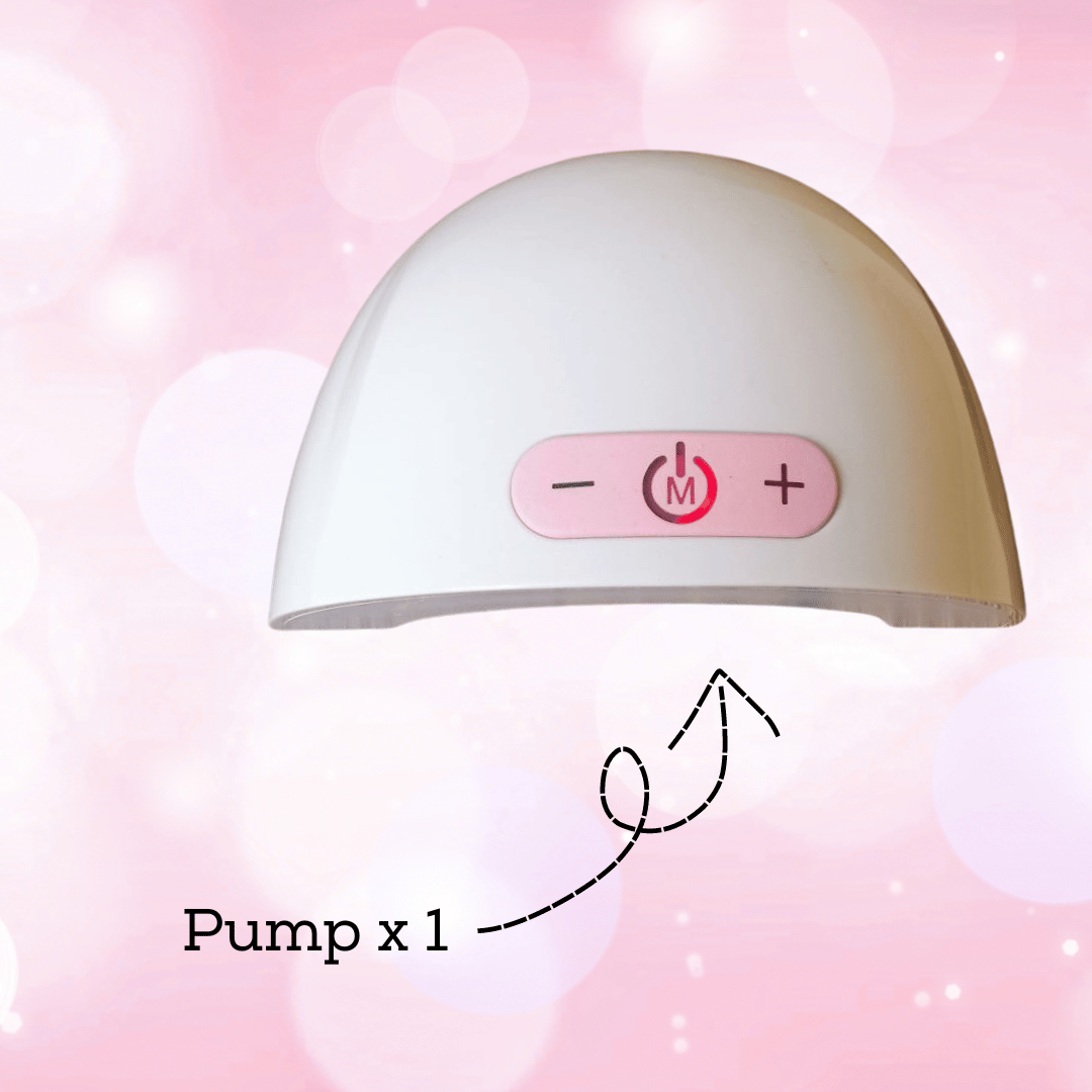 Valve x ` Super Ginnie Membrane and Valve